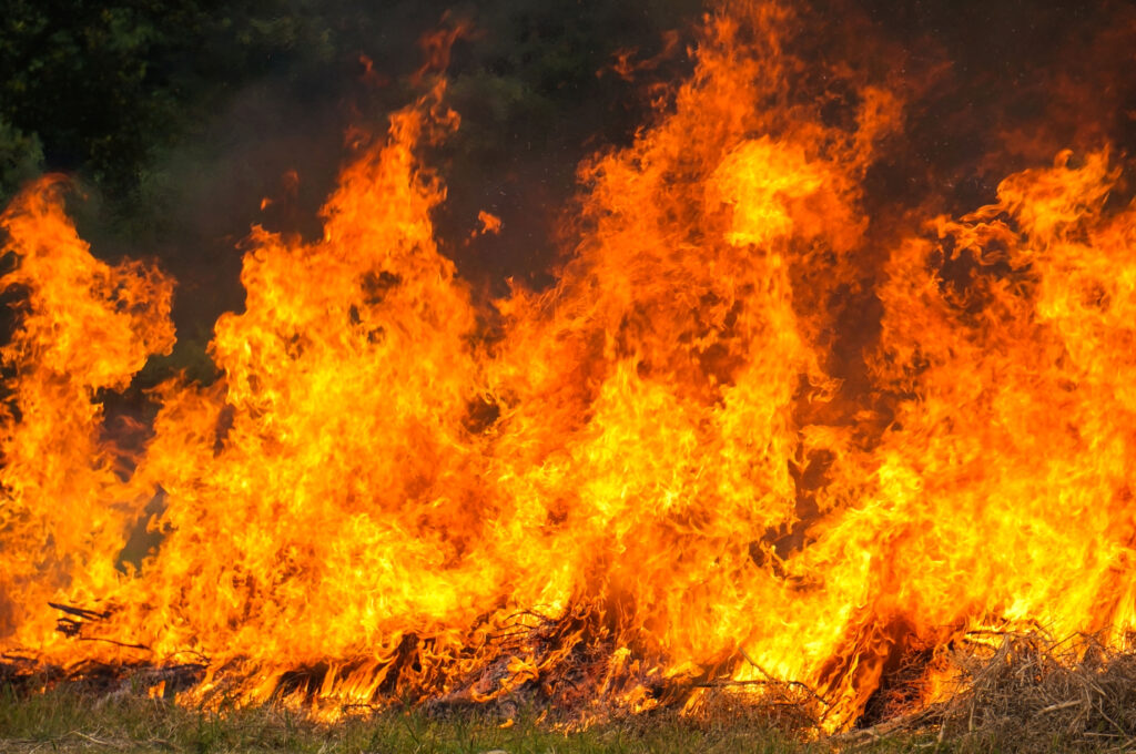 Fire